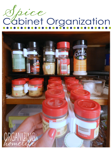 How to Organize Your Spice Cabinet the Easy Way - Domestic Dee
